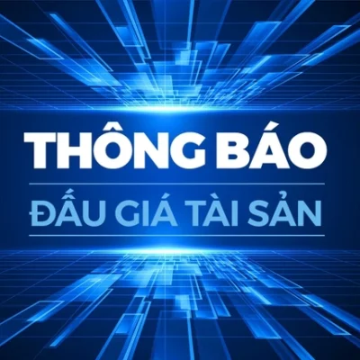 Tài sản đấu giá là: 03 xe ô tô Viện kiểm sát nhân dân tỉnh Ninh Bình